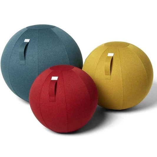 ACCESSOIRE FITNESS - HOUSSE BALLONS PILATES